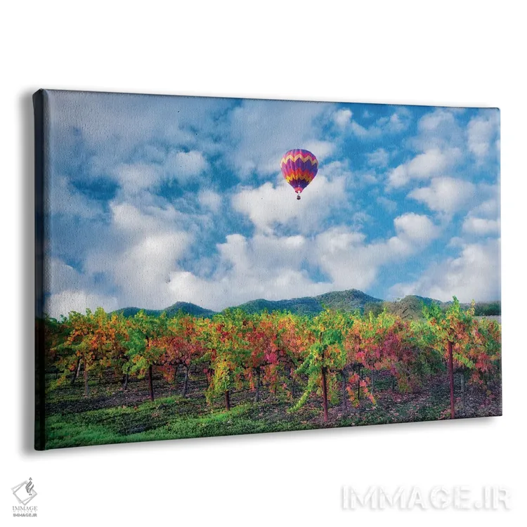 تابلو باغ انگور پاییزی و بالون اثر دنیس فراتس - نمای پرسپکتیو محصول