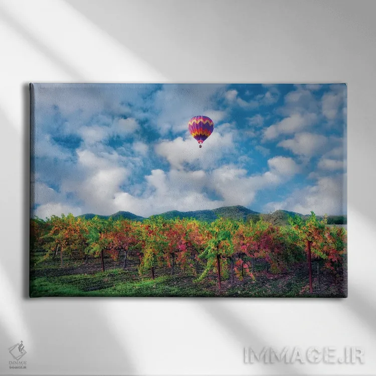 تابلو باغ انگور پاییزی و بالون اثر دنیس فراتس - نمای روبهرو روی دیوار