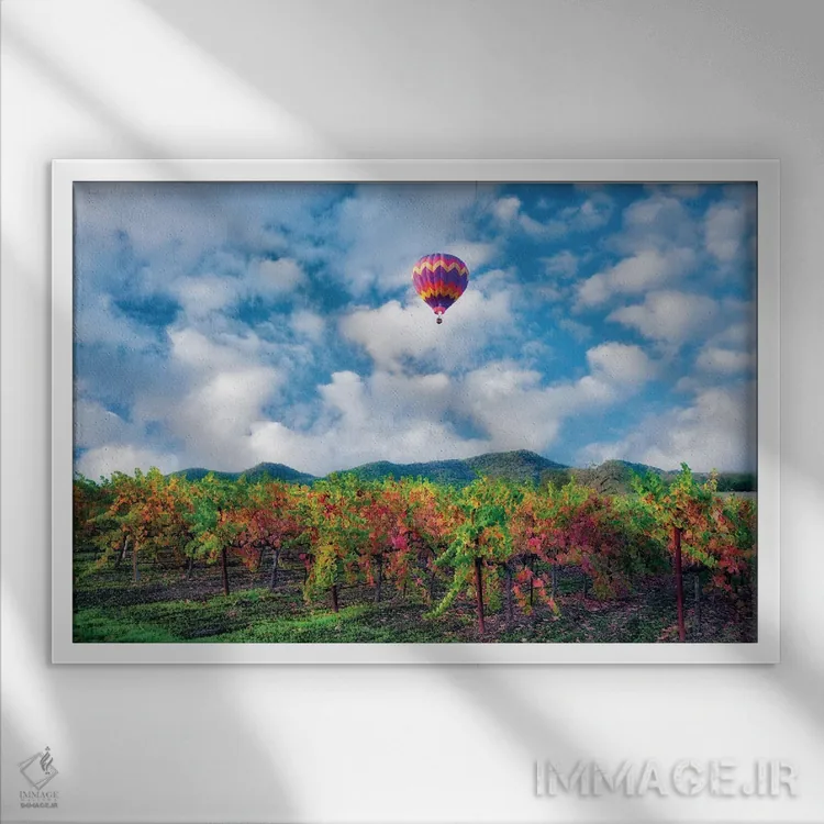 تابلو باغ انگور پاییزی و بالون اثر دنیس فراتس - نمای قابدار سفید