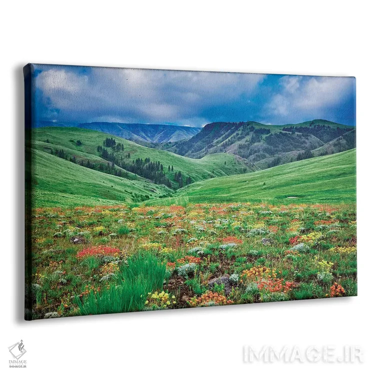 تابلو گلهای وحشی کوهستان ۳ اثر دنیس فراتس - نمای پرسپکتیو محصول