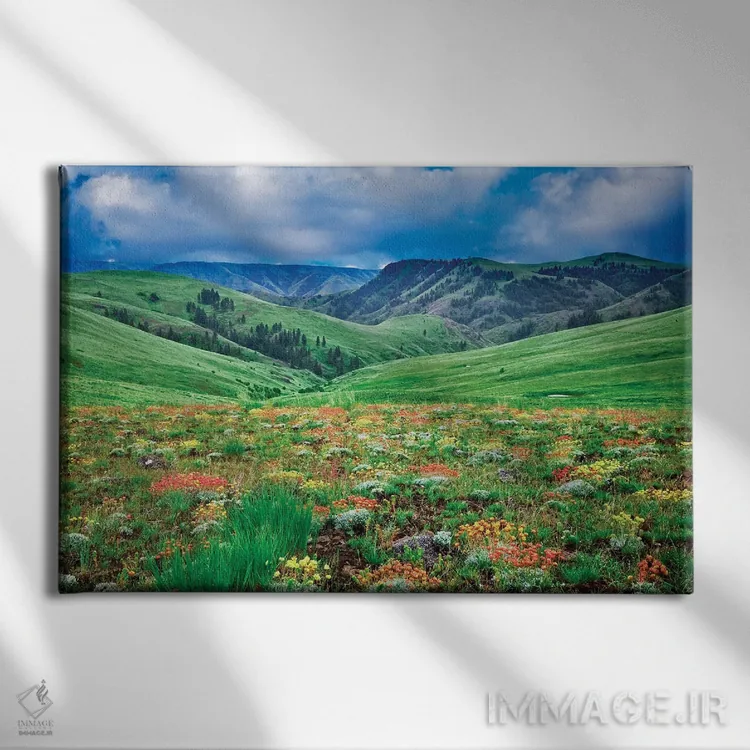 تابلو گلهای وحشی کوهستان ۳ اثر دنیس فراتس - نمای روبهرو روی دیوار