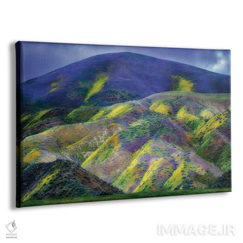تابلو تپههای فرششده اثر دنیس فراتس - نمای پرسپکتیو محصول