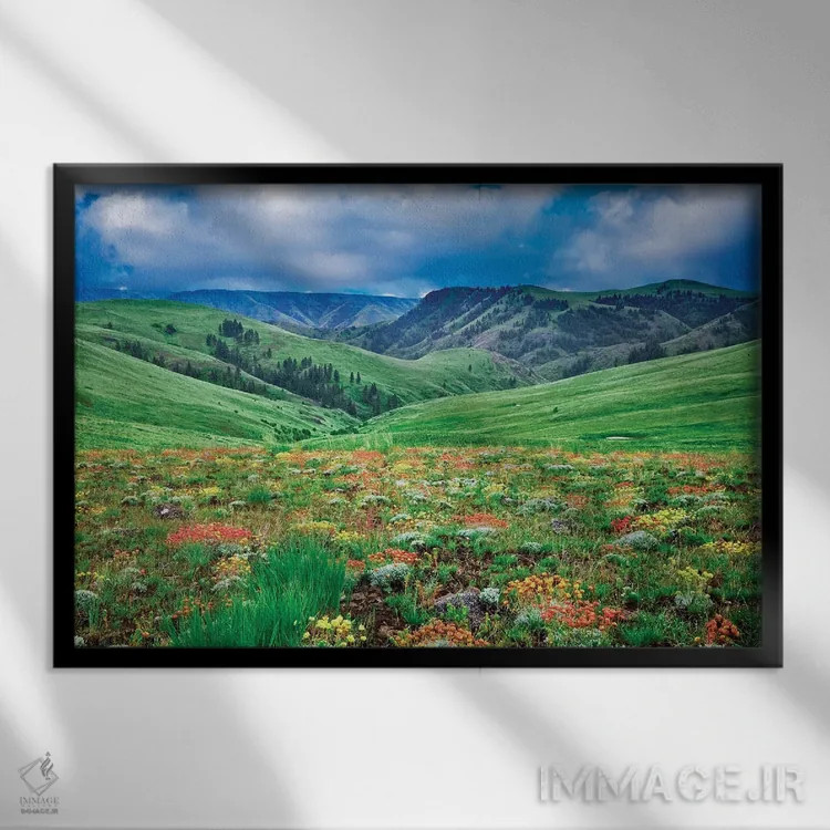 تابلو گلهای وحشی کوهستان ۳ اثر دنیس فراتس - نمای قابدار مشکی