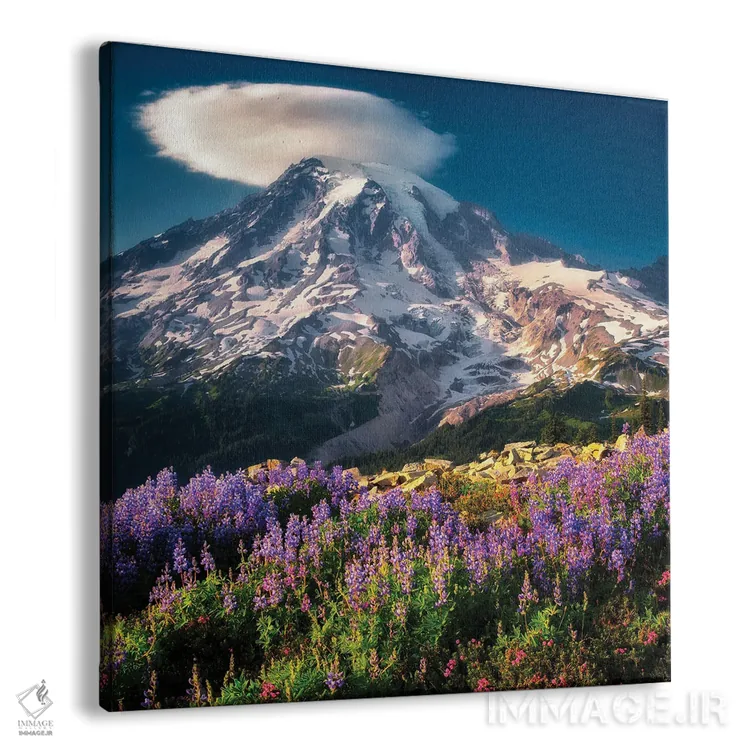 تابلو گلهای وحشی رینیر ۴ (کوه) اثر دنیس فراتس - نمای پرسپکتیو محصول