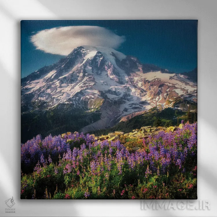 تابلو گلهای وحشی رینیر ۴ (کوه) اثر دنیس فراتس - نمای روبهرو روی دیوار