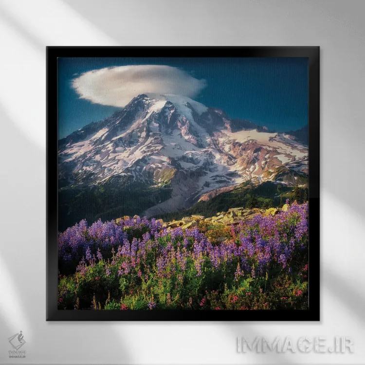 تابلو گلهای وحشی رینیر ۴ (کوه) اثر دنیس فراتس - نمای قابدار مشکی