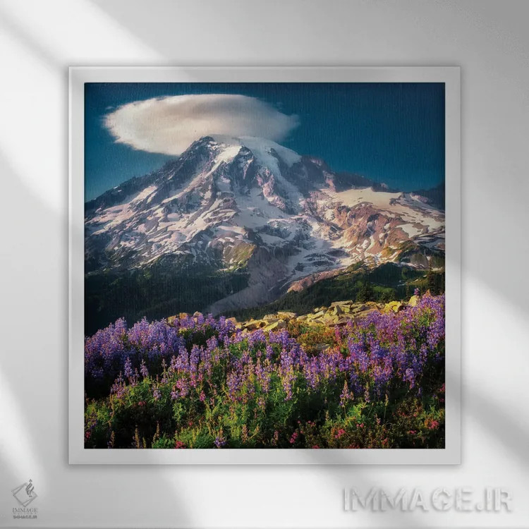 تابلو گلهای وحشی رینیر ۴ (کوه) اثر دنیس فراتس - نمای قابدار سفید