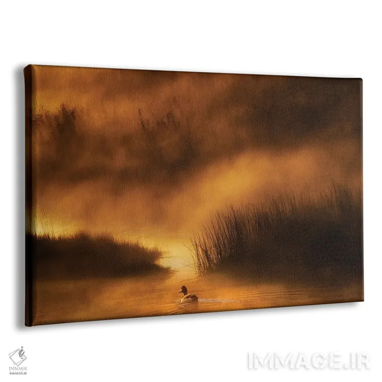 تابلو اردک یلوستون (پارک ملی) اثر دنیس فراتس - نمای پرسپکتیو محصول