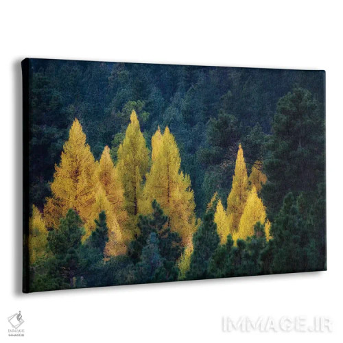 تابلو جزیرهٔ لارچ (نوعی درخت) اثر دنیس فراتس - نمای پرسپکتیو محصول