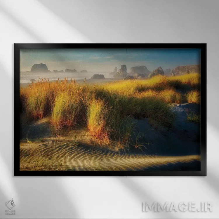 تابلو تلماسههای ساحلی اثر دنیس فراتس - نمای قابدار مشکی