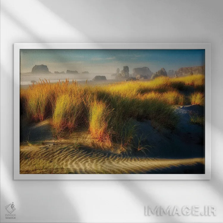 تابلو تلماسههای ساحلی اثر دنیس فراتس - نمای قابدار سفید