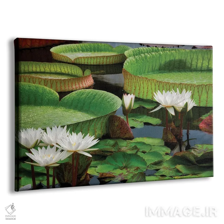 تابلو نیلوفرهای آبی اثر دنیس فراتس - نمای پرسپکتیو محصول