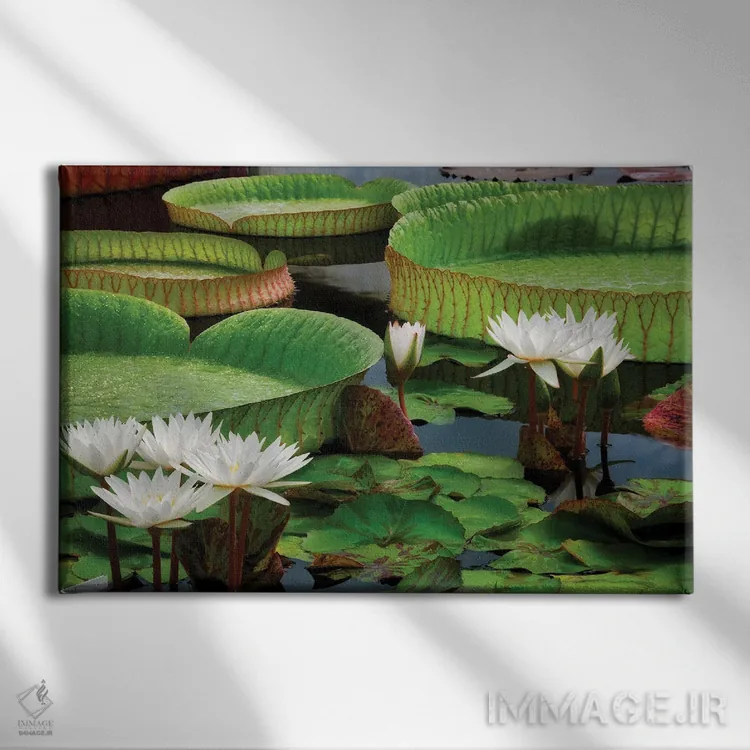تابلو نیلوفرهای آبی اثر دنیس فراتس - نمای روبهرو روی دیوار