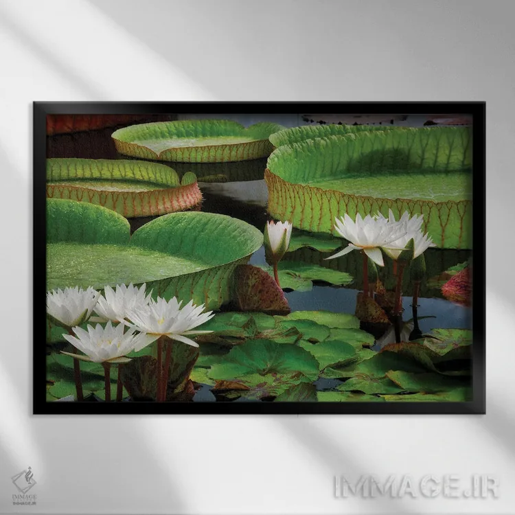 تابلو نیلوفرهای آبی اثر دنیس فراتس - نمای قابدار مشکی