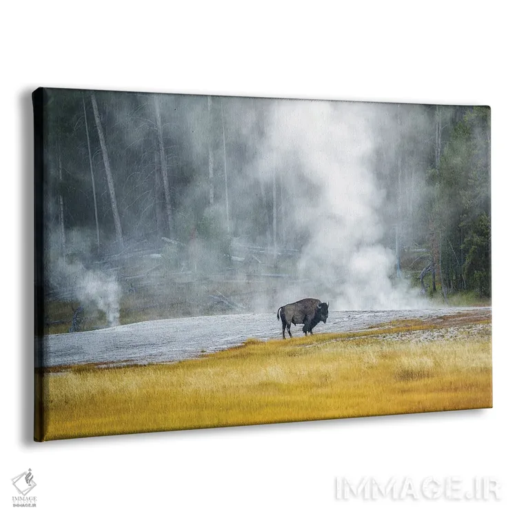 تابلو بوفالو در استخر حرارتی اثر دنیس فراتس - نمای پرسپکتیو محصول