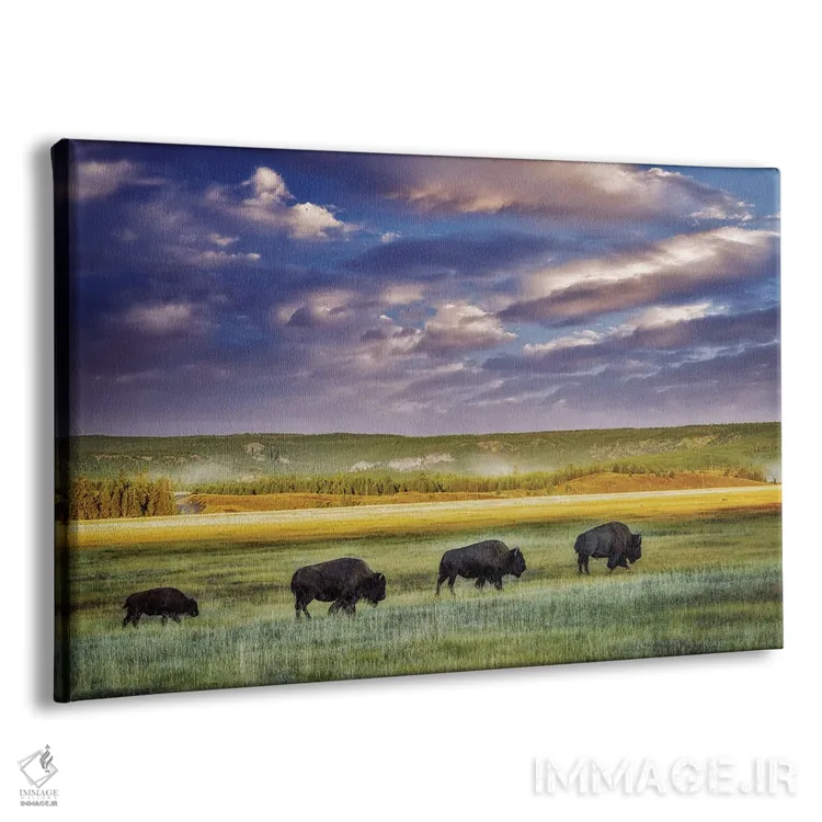 تابلو قطار بوفالو (با نگارش اشتباه) اثر دنیس فراتس - نمای پرسپکتیو محصول