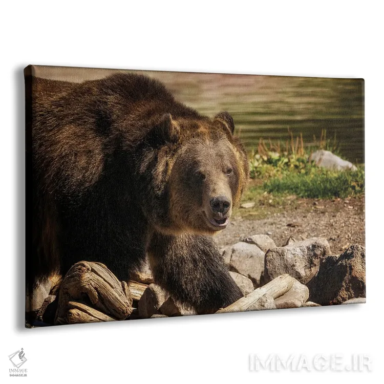 تابلو خرس گریزلی ۴ اثر دنیس فراتس - نمای پرسپکتیو محصول