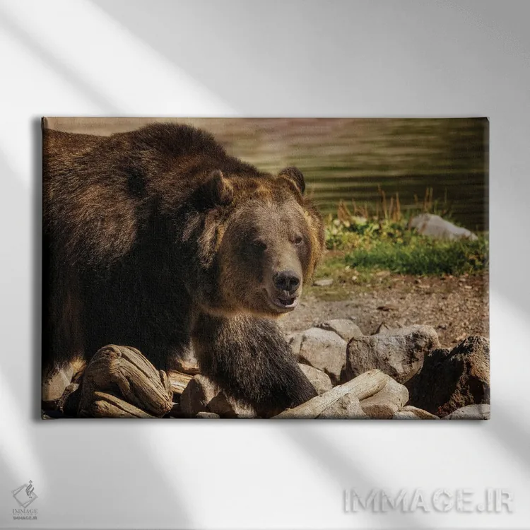 تابلو خرس گریزلی ۴ اثر دنیس فراتس - نمای روبهرو روی دیوار
