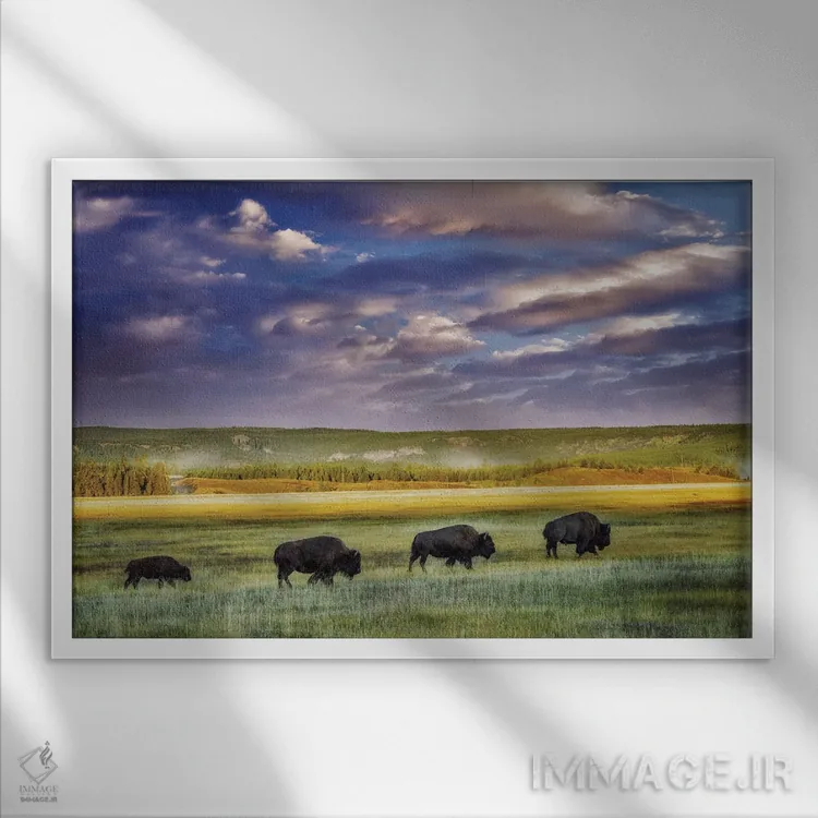 تابلو قطار بوفالو (با نگارش اشتباه) اثر دنیس فراتس - نمای قابدار سفید