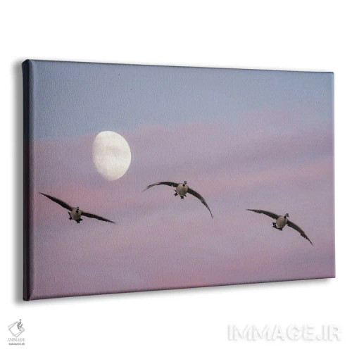 تابلو غازها، ماه و غروب اثر دنیس فراتس - نمای پرسپکتیو محصول