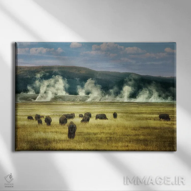 تابلو گله بوفالوی گرمایی اثر دنیس فراتس - نمای روبهرو روی دیوار