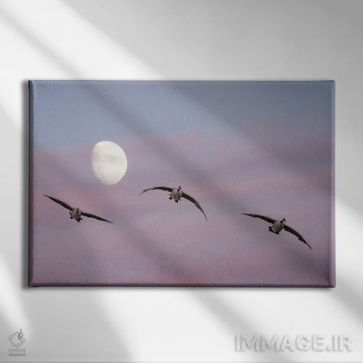 تابلو غازها، ماه و غروب اثر دنیس فراتس - نمای روبهرو روی دیوار