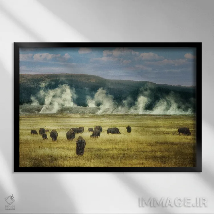 تابلو گله بوفالوی گرمایی اثر دنیس فراتس - نمای قابدار مشکی
