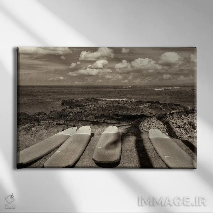 تابلو تختههای موجسواری و اقیانوس اثر دنیس فراتس - نمای روبهرو روی دیوار