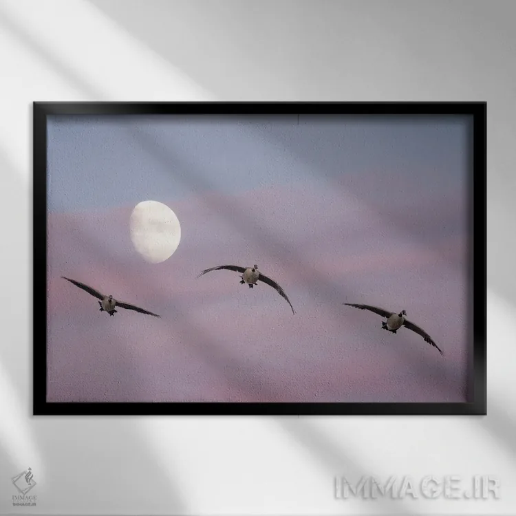 تابلو غازها، ماه و غروب اثر دنیس فراتس - نمای قابدار مشکی