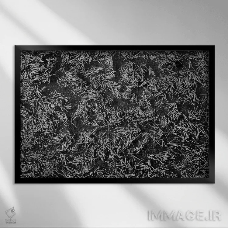 تابلو سوزنهای کاج اثر دنیس فراتس - نمای قابدار مشکی