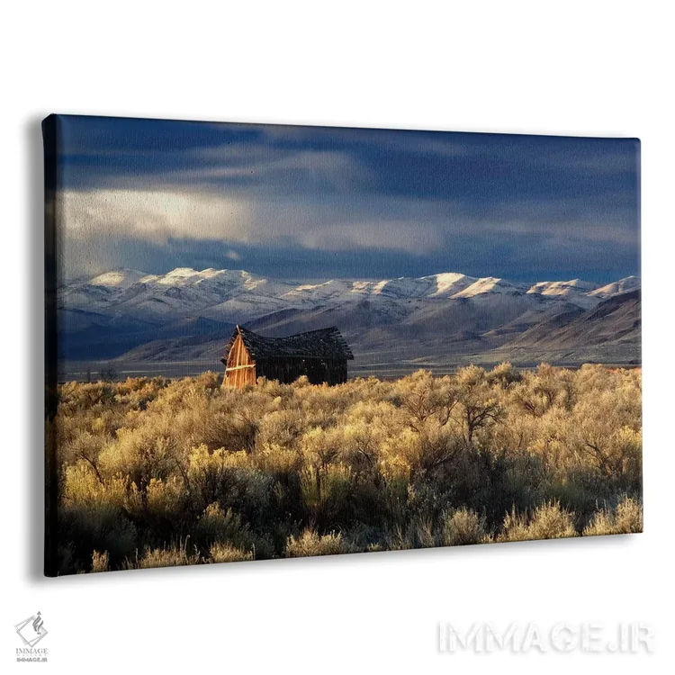 تابلو کلبه تنها اثر دنیس فراتس - نمای پرسپکتیو محصول