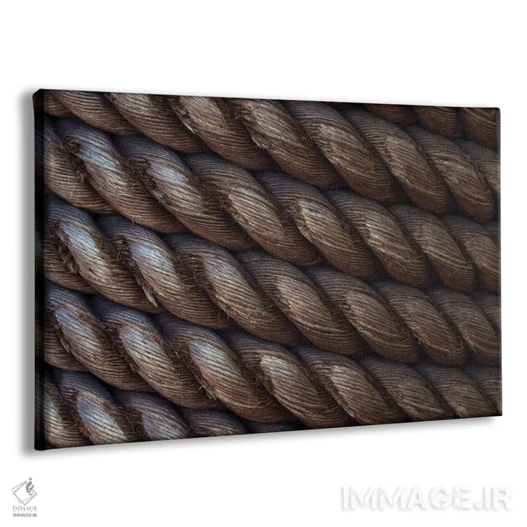 تابلو طناب دریایی اثر دنیس فراتس - نمای پرسپکتیو محصول