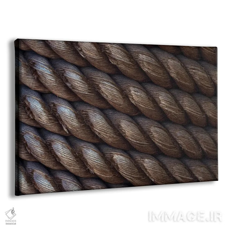 تابلو طناب دریایی اثر دنیس فراتس - نمای پرسپکتیو محصول