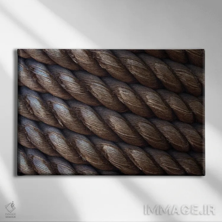 تابلو طناب دریایی اثر دنیس فراتس - نمای روبهرو روی دیوار