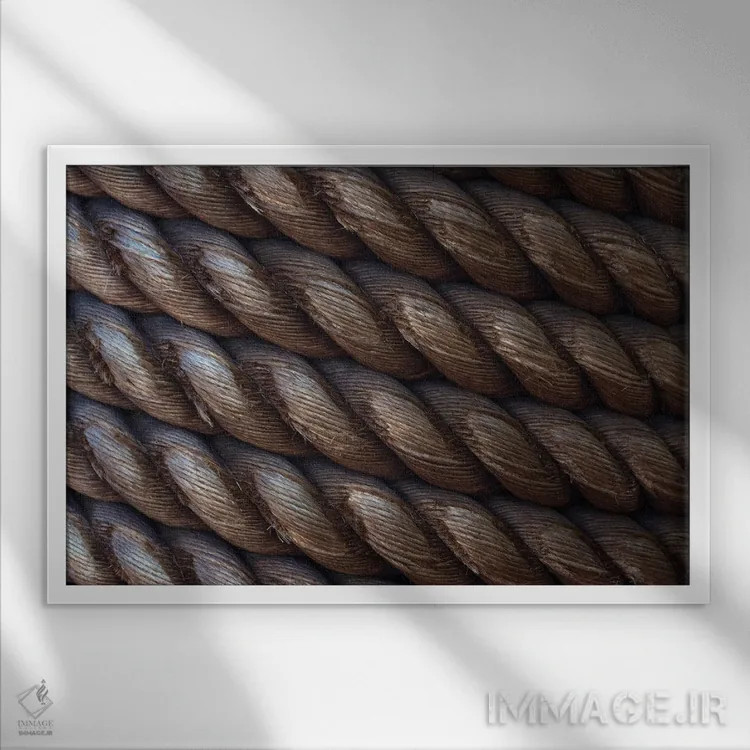 تابلو طناب دریایی اثر دنیس فراتس - نمای قابدار سفید