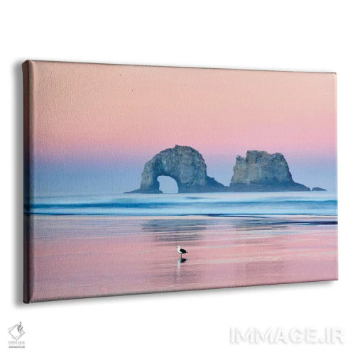 تابلو مرغ دریایی تنها اثر دنیس فراتس - نمای پرسپکتیو محصول