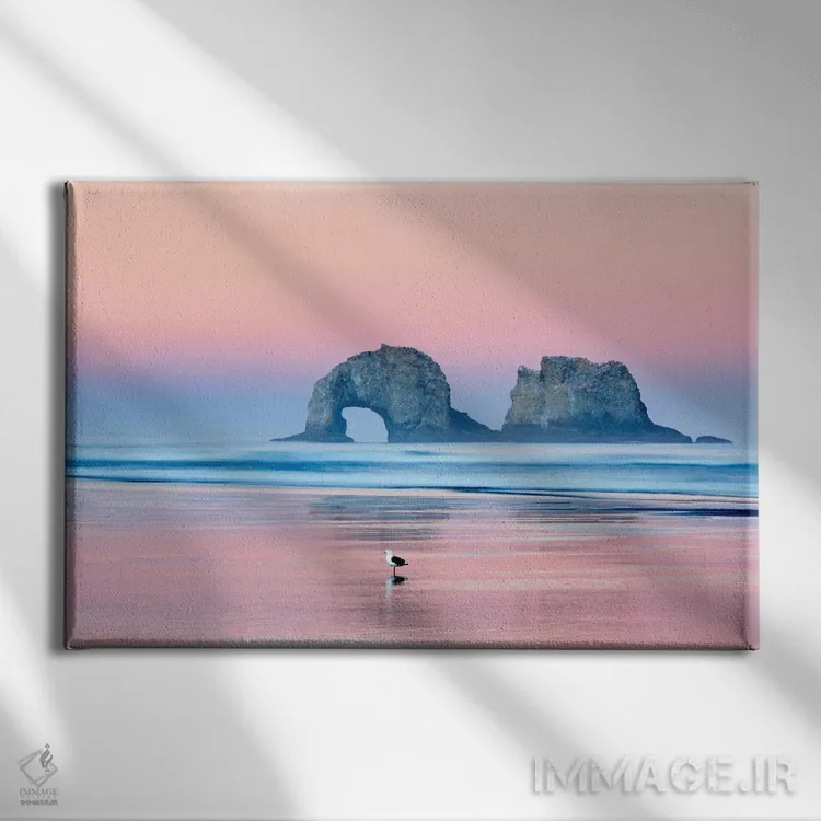 تابلو مرغ دریایی تنها اثر دنیس فراتس - نمای روبهرو روی دیوار