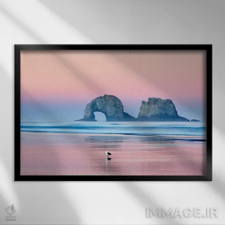 تابلو مرغ دریایی تنها اثر دنیس فراتس - نمای قابدار مشکی