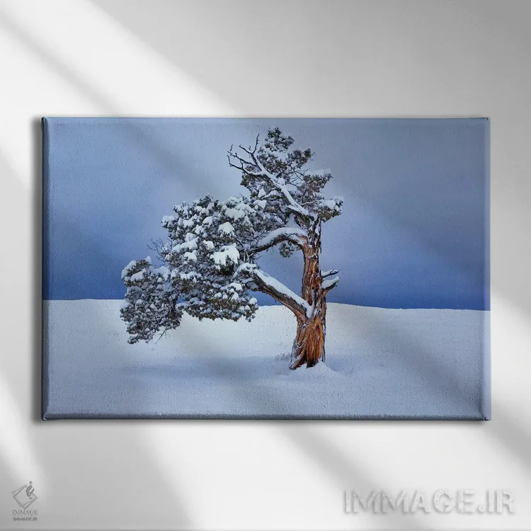 تابلو درخت تنها در زمستان اثر دنیس فراتس - نمای روبهرو روی دیوار