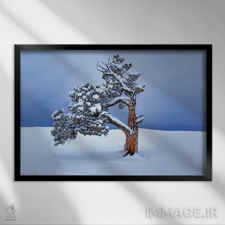 تابلو درخت تنها در زمستان اثر دنیس فراتس - نمای قابدار مشکی