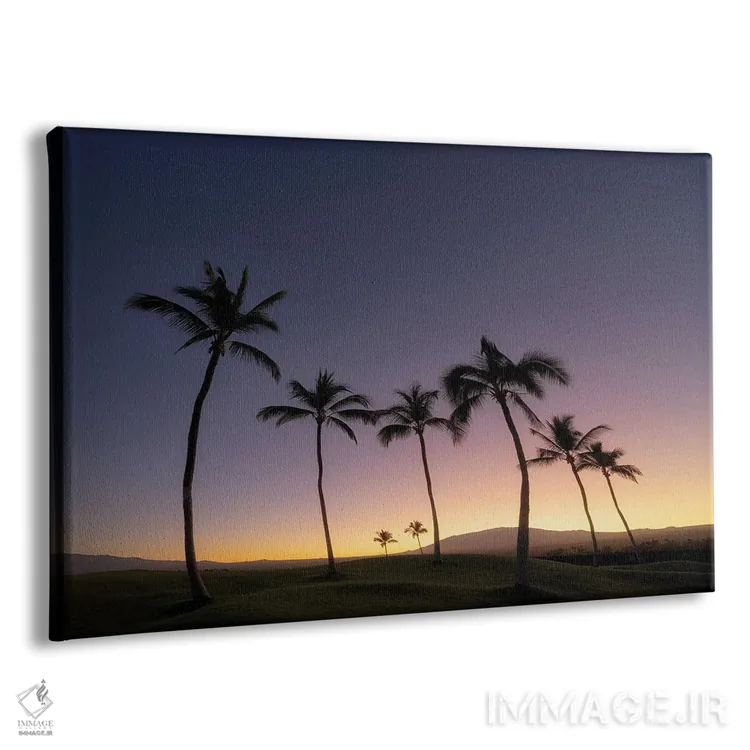 تابلو سایهنماهای استوایی II اثر دنیس فراتس - نمای پرسپکتیو محصول