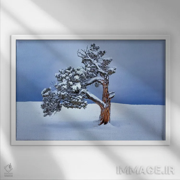 تابلو درخت تنها در زمستان اثر دنیس فراتس - نمای قابدار سفید
