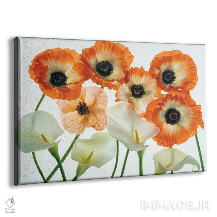 تابلو مجموعه گل صدتومانی اثر دنیس فراتس - نمای پرسپکتیو محصول