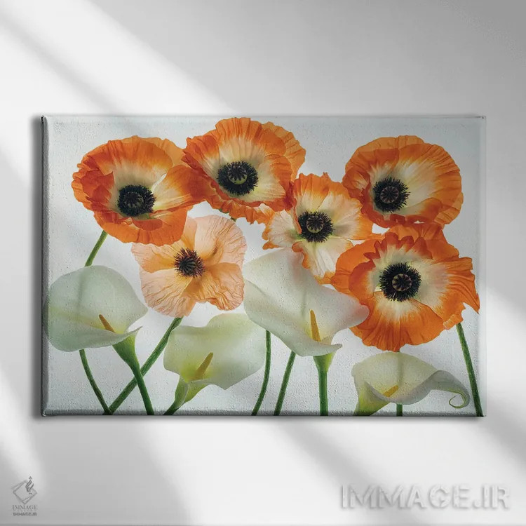 تابلو مجموعه گل صدتومانی اثر دنیس فراتس - نمای روبهرو روی دیوار