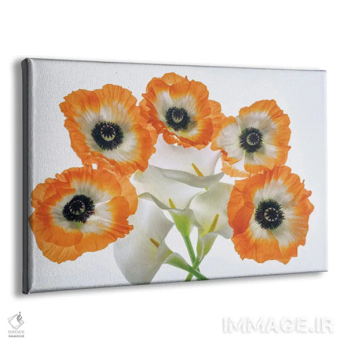 تابلو مجموعه گل صدتومانی II اثر دنیس فراتس - نمای پرسپکتیو محصول