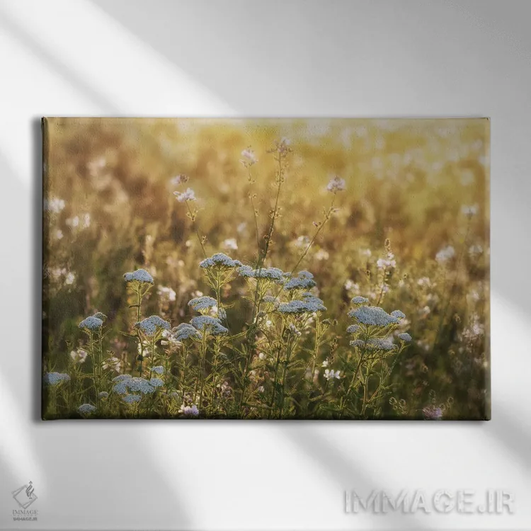 تابلو طلوع خورشید با گلهای وحشی اثر دنیس فراتس - نمای روبهرو روی دیوار