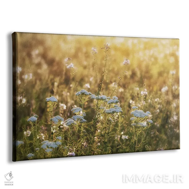 تابلو طلوع خورشید با گلهای وحشی اثر دنیس فراتس - نمای پرسپکتیو محصول