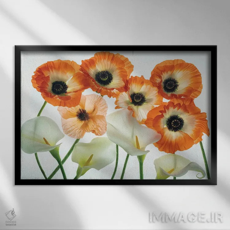 تابلو مجموعه گل صدتومانی اثر دنیس فراتس - نمای قابدار مشکی