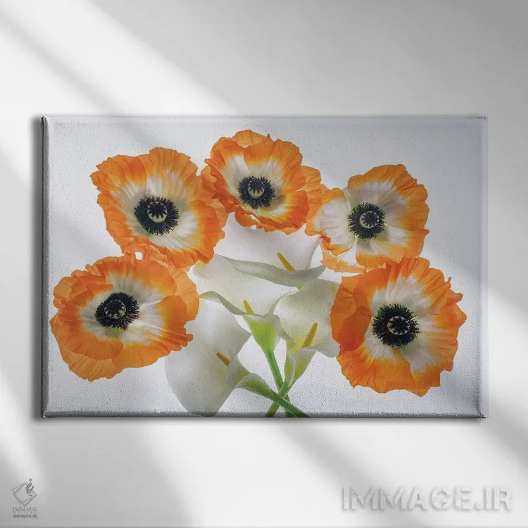 تابلو مجموعه گل صدتومانی II اثر دنیس فراتس - نمای روبهرو روی دیوار