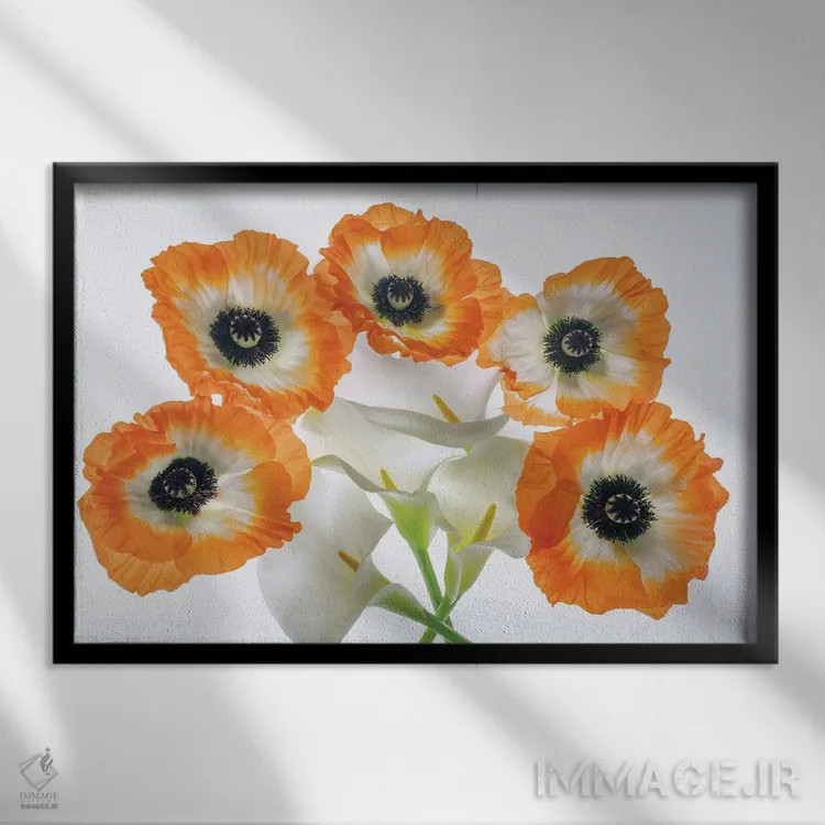 تابلو مجموعه گل صدتومانی II اثر دنیس فراتس - نمای قابدار مشکی